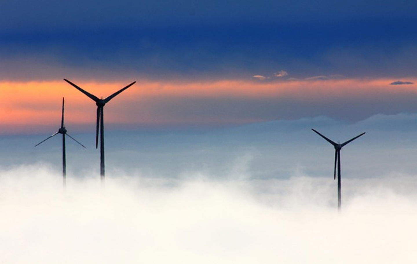 molinos de viento