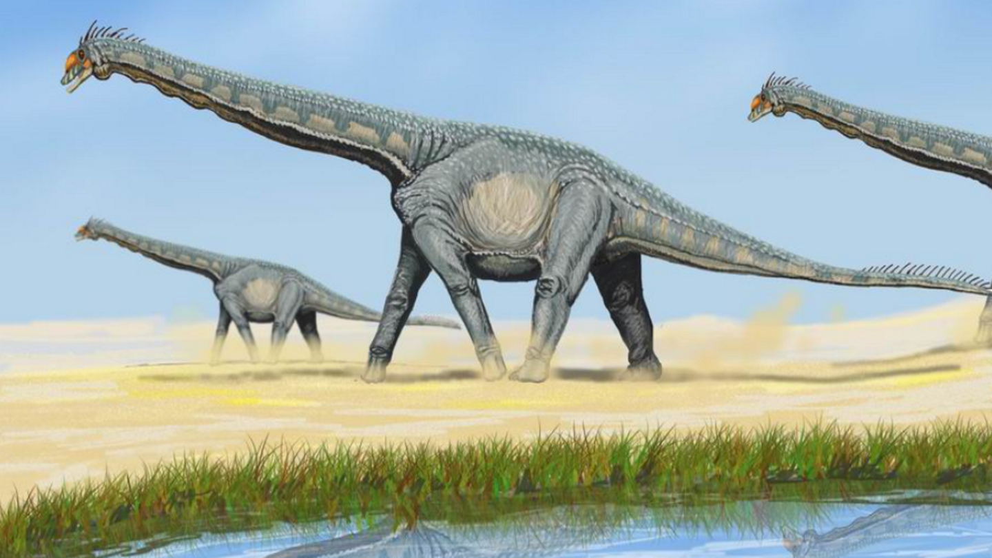 Tiranosaurio
