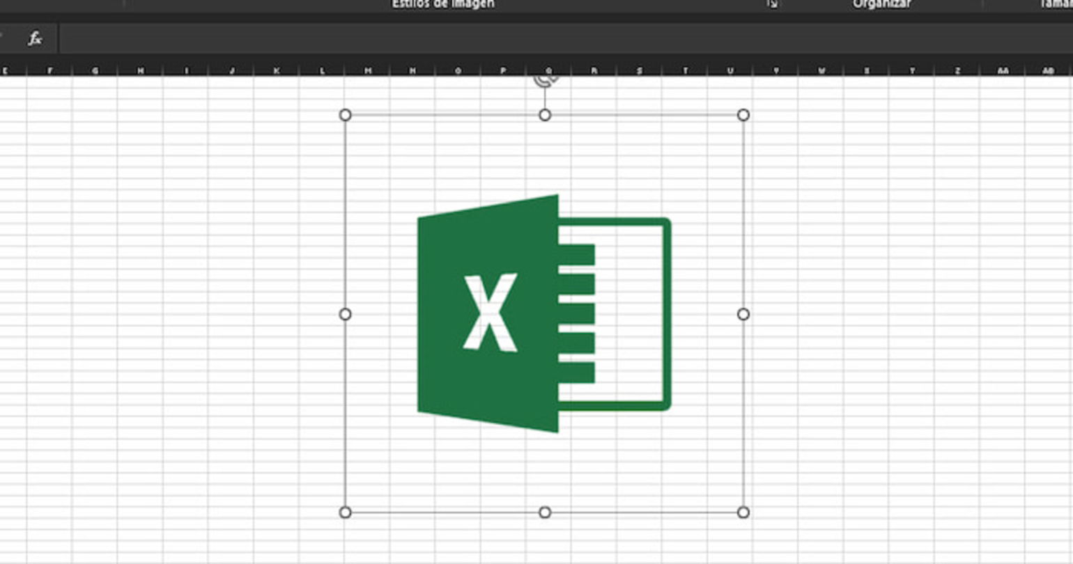 Así se ve una imagen sin fondo en Excel, lo que no te tomará más de un par de segundos