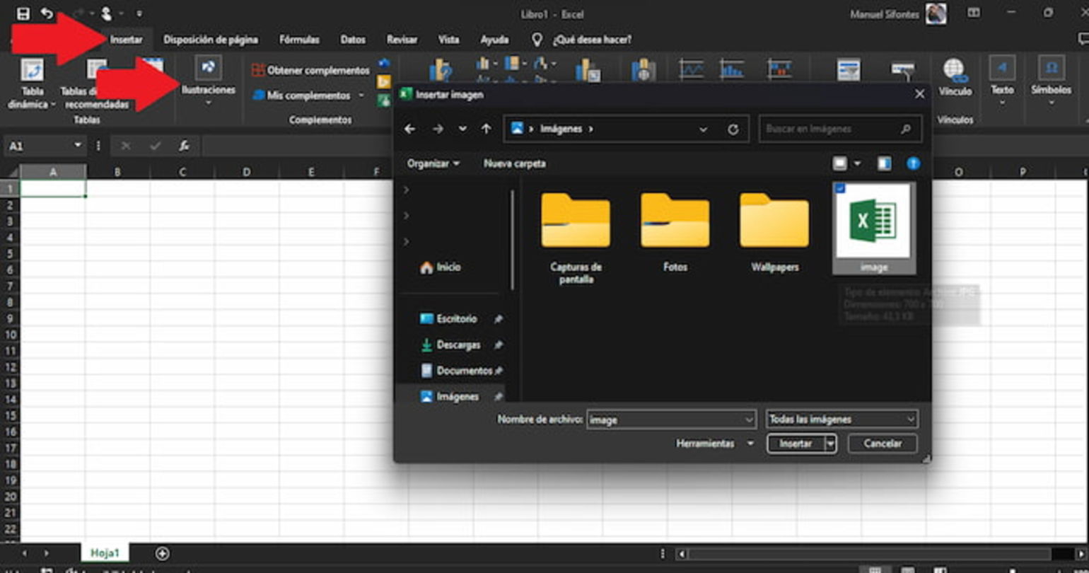 Lo primero que debes hacer es insertar la imagen en el documento de Excel