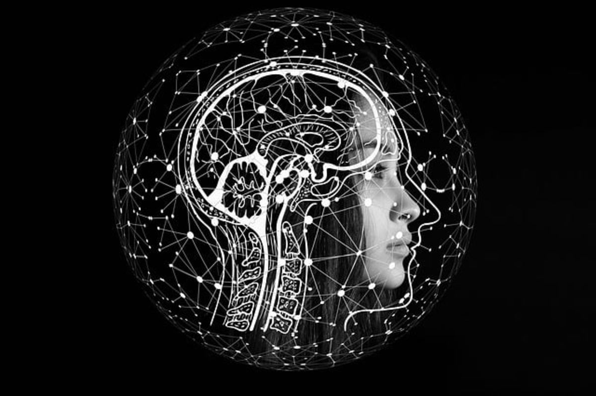 What Are Mirror Neurons And How Do They Work An Easy Explanation