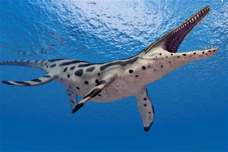 Unos restos en un museo demuestran que este depredador marino del Triásico era más grande de lo que parecía