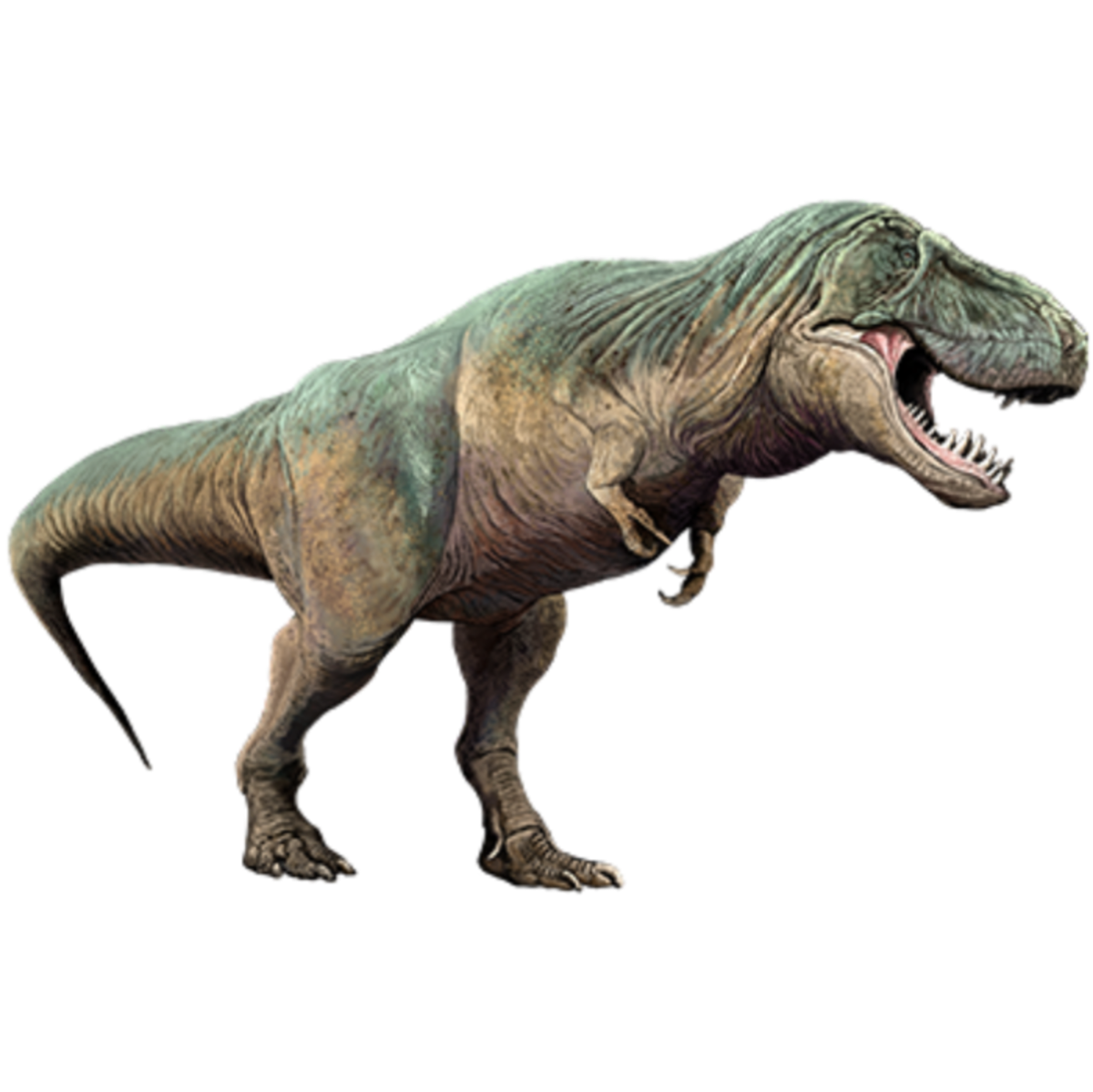 The Most Dangerous Carnivorous Dinosaurs Types And Characteristics