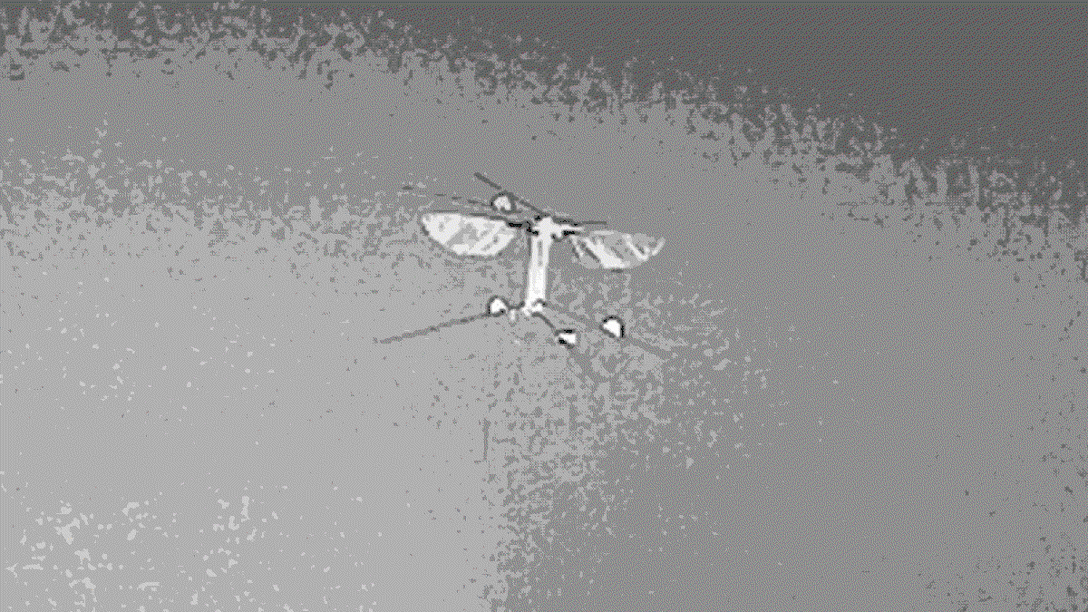 Bee++ robot