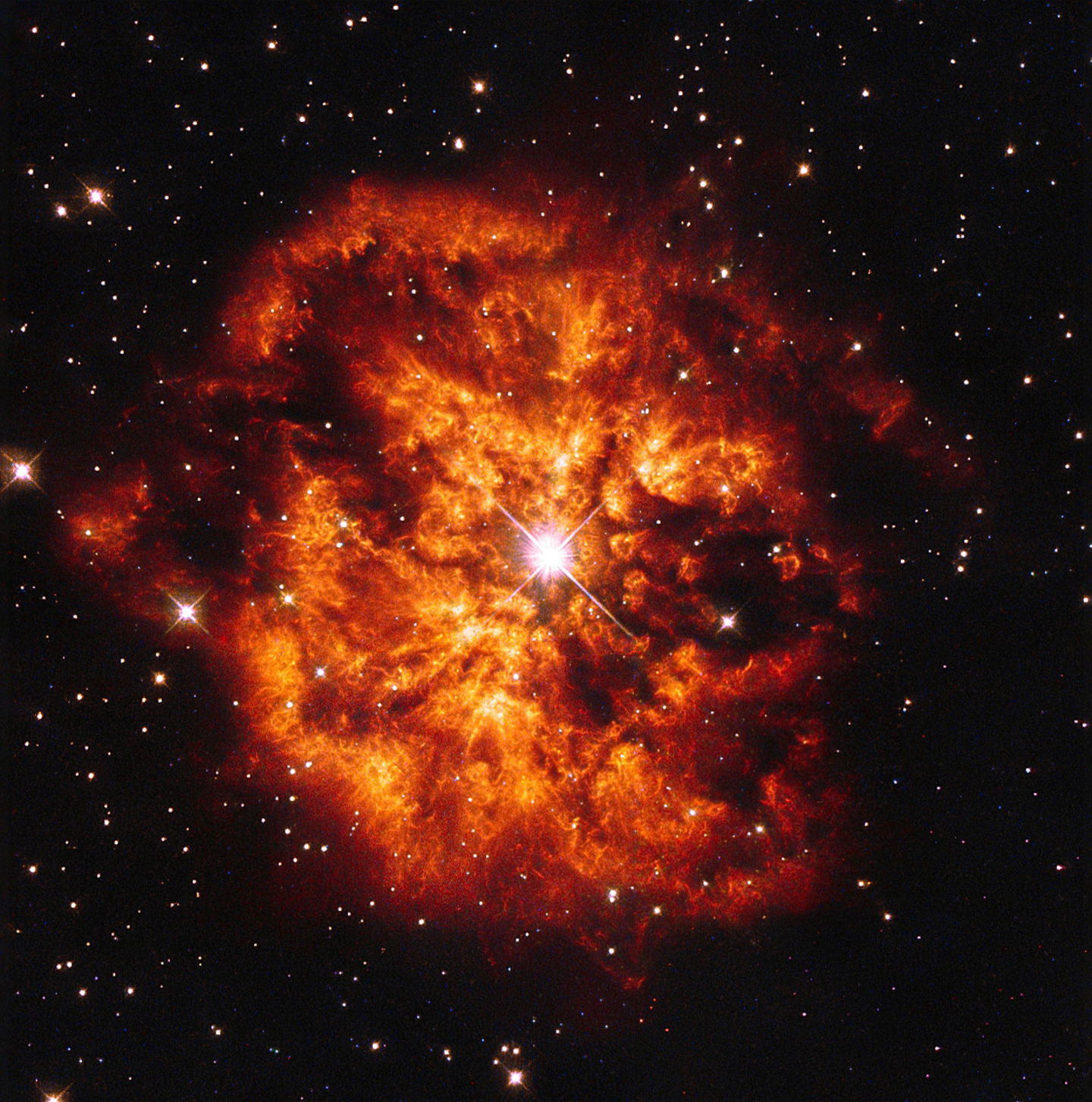 estrella wolf-rayet