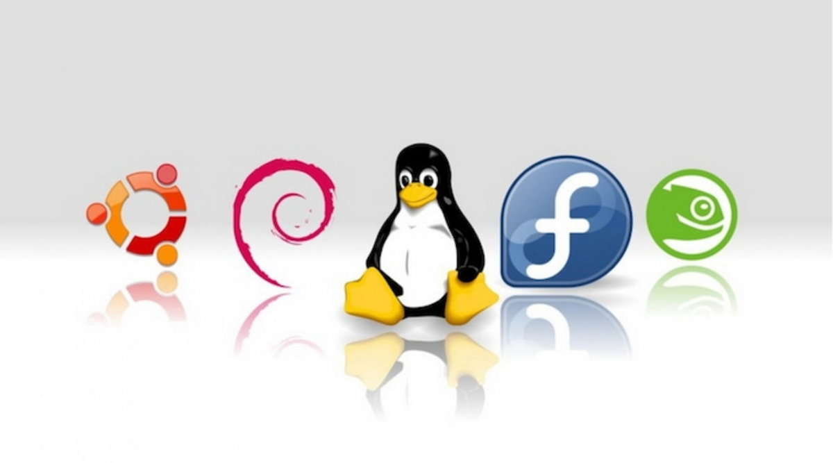 How To Install Linux And Windows At The Same Time On The Same PC Gearrice
