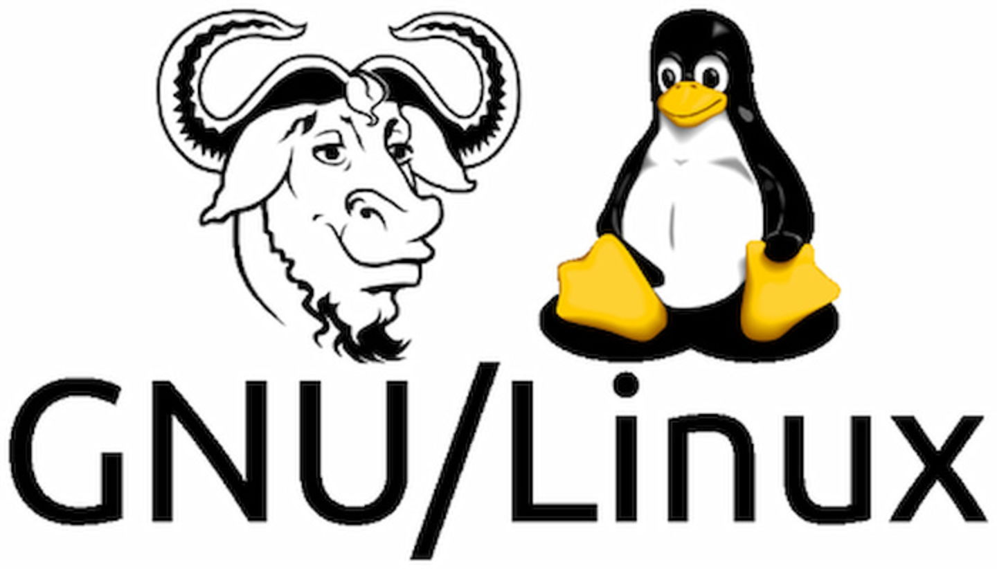 Es importante no confundir Linux, que es el Kernel, con GNULinux