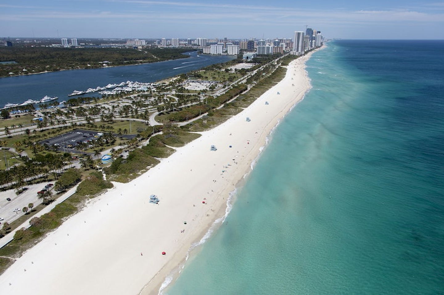 los-10-tiburones-mas-peligrosos-del-mundo-florida.jpg