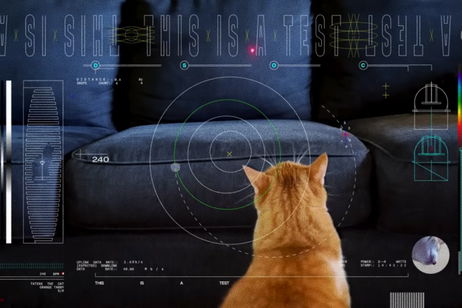 La NASA hace el primer streaming desde el espacio profundo con un gato como estrella principal