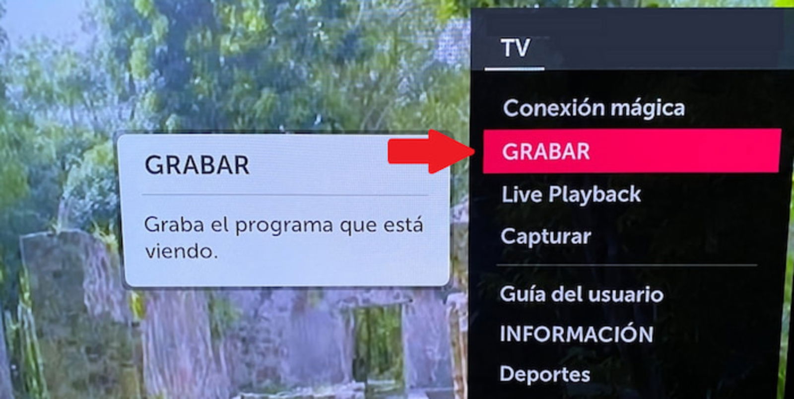 Grabar programas en WebOS es muy sencillo, tan solo debes seguir estos pasos