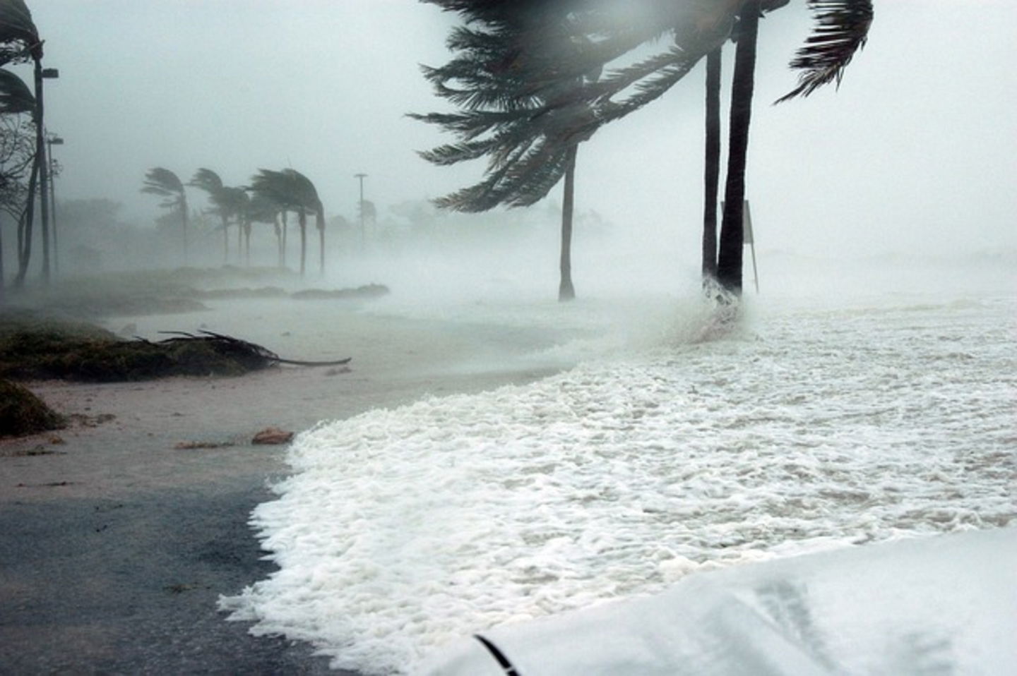 Por qué el viento silba y qué tipo de ruidos puede hacer 4