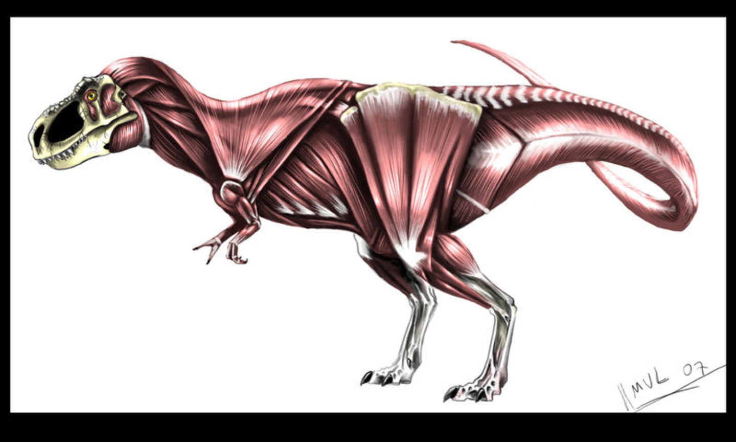 Por qué los brazos del T-Rex eran tan cortos y para qué los usaba 2
