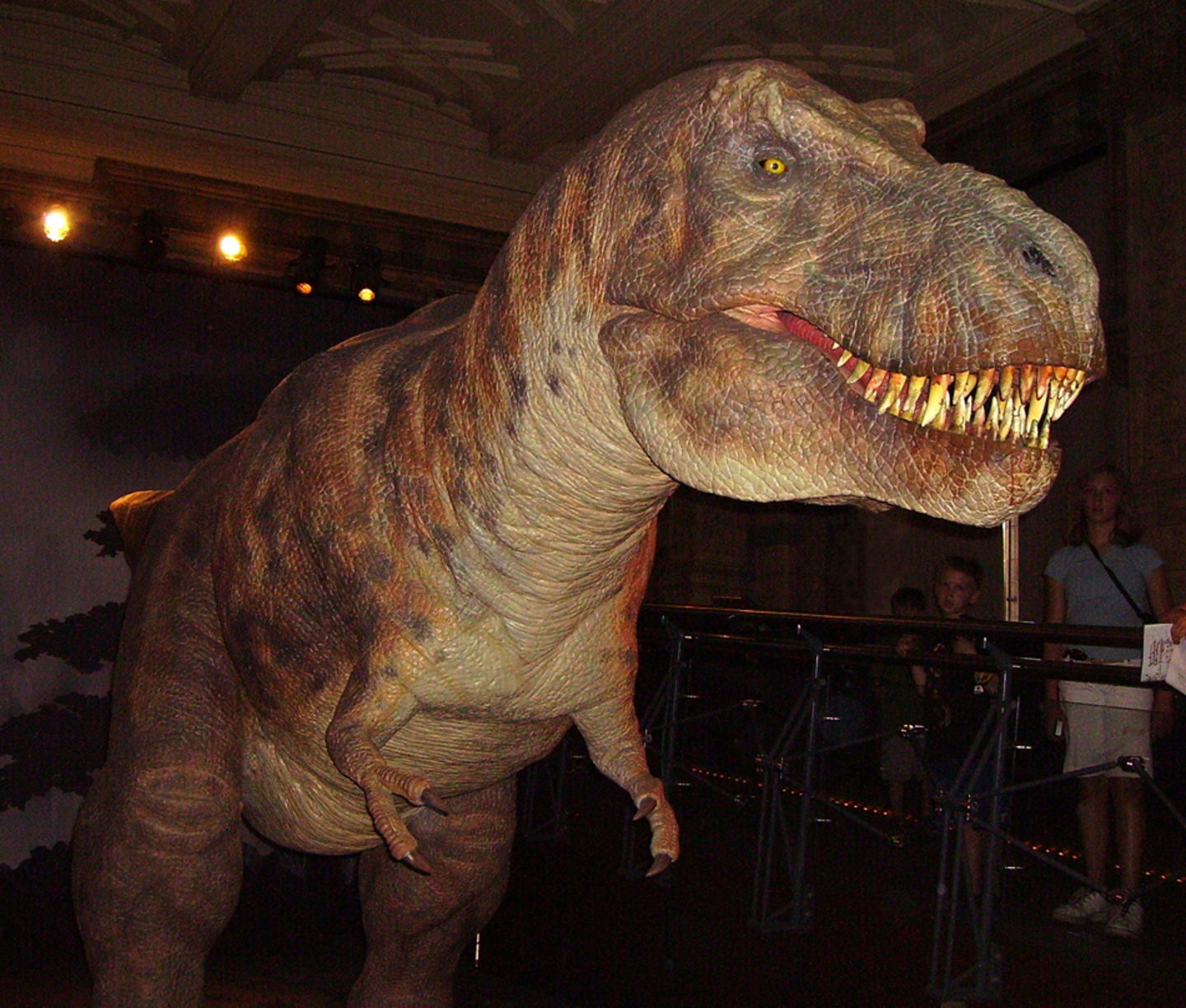 por-que-los-brazos-del-t-rex-eran-tan-cortos-y-para-que-los-usaba-3.jpg