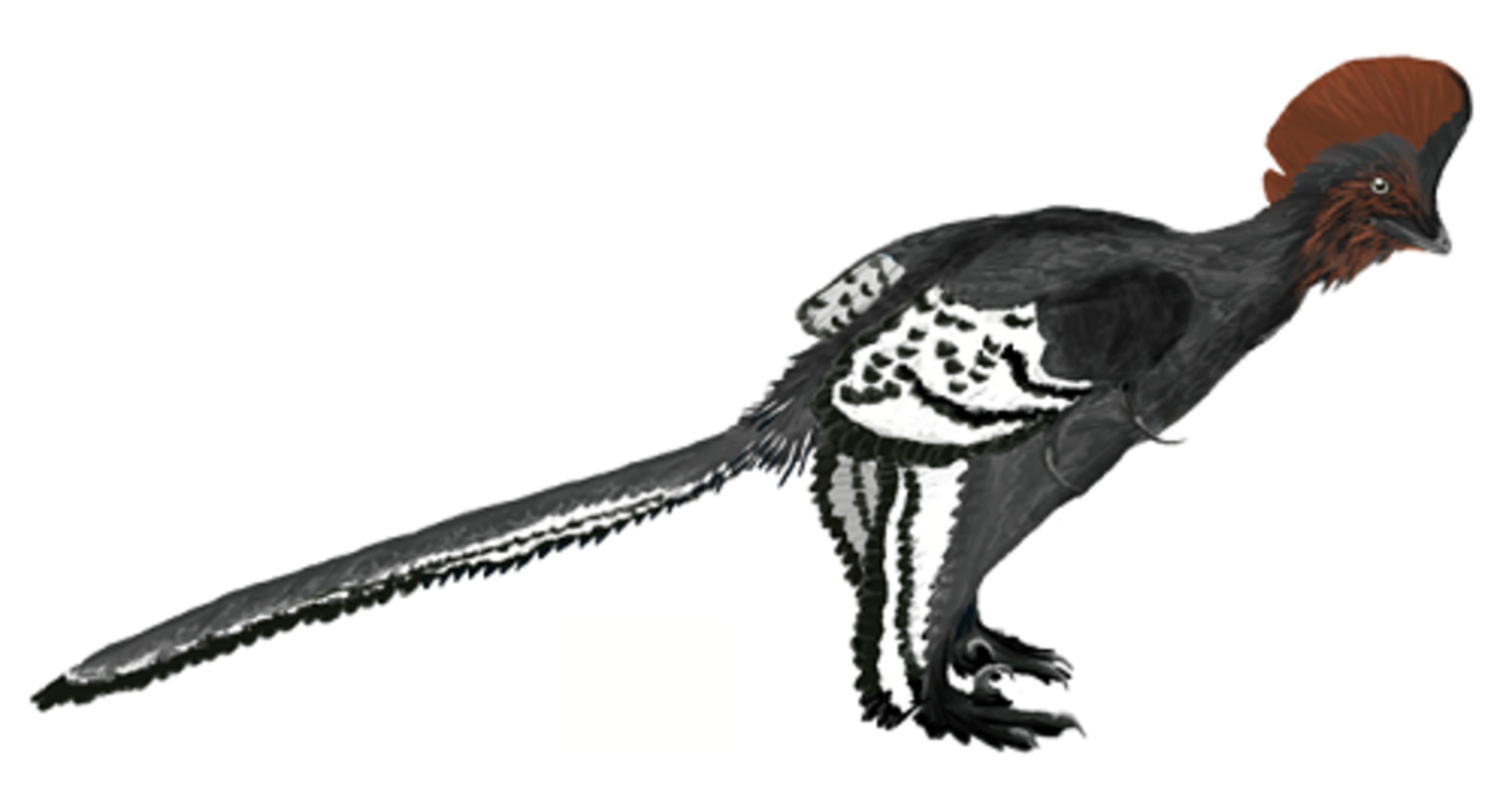 Fabrican un robot dinosaurio para intentar descubrir por qué estos animales desarrollaron plumas