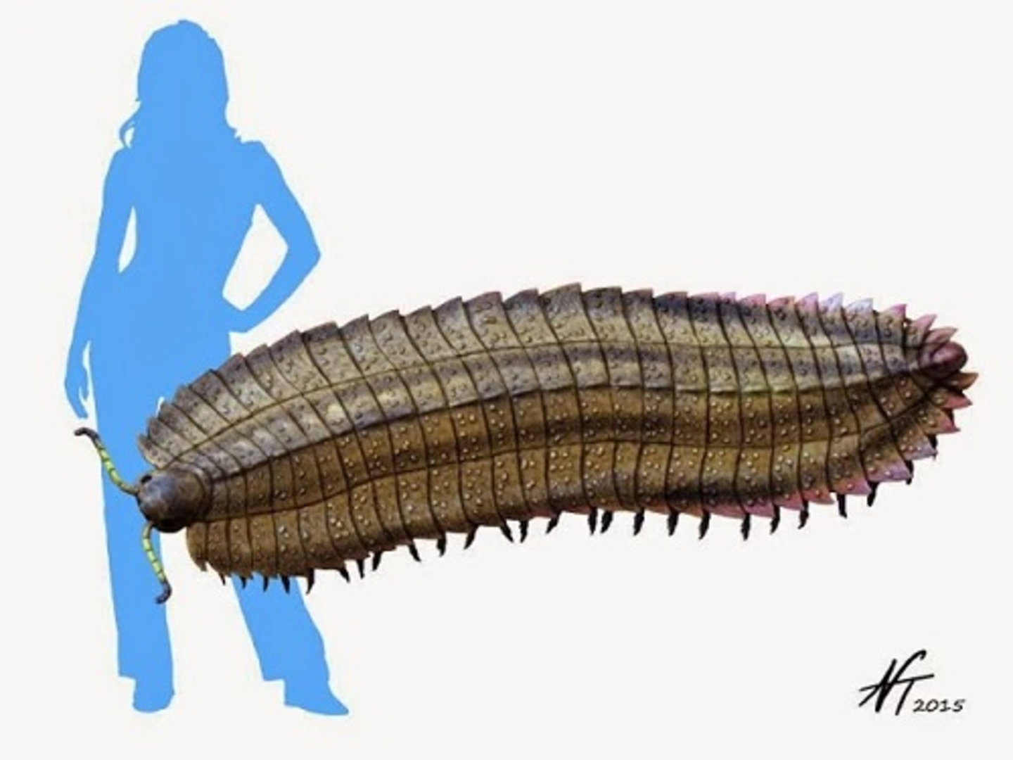 Vivió en América y Europa y no querrías encontrártelo: este fue el insecto más grande que ha existido