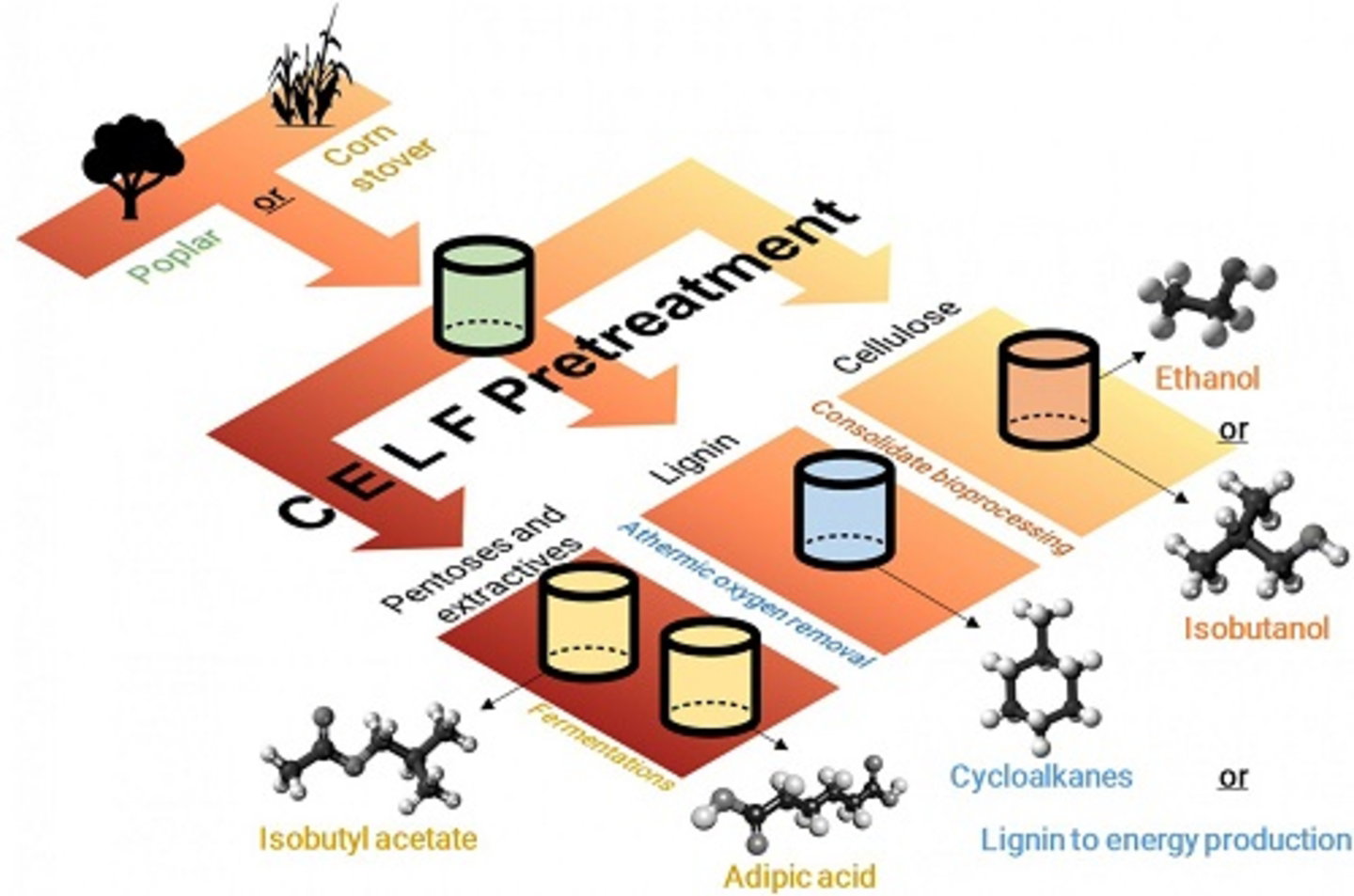Esta nueva tecnología podría hacer que los biocombustibles sean más baratos que el petróleo