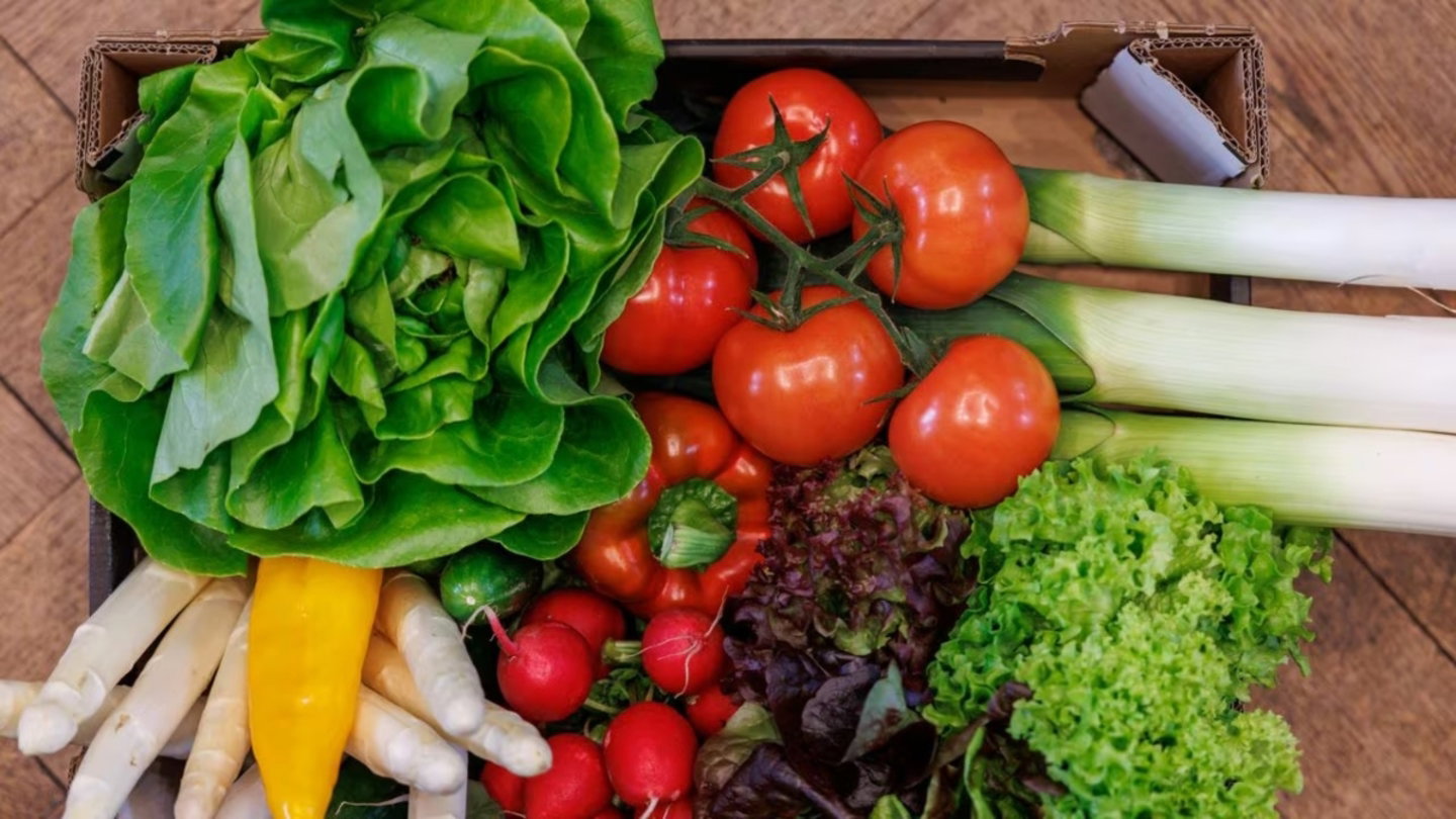 Distintos vegetales