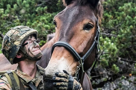 El US Army despliega un nuevo arma: mulas robóticas para ayudar a sus soldados a transportar cosas