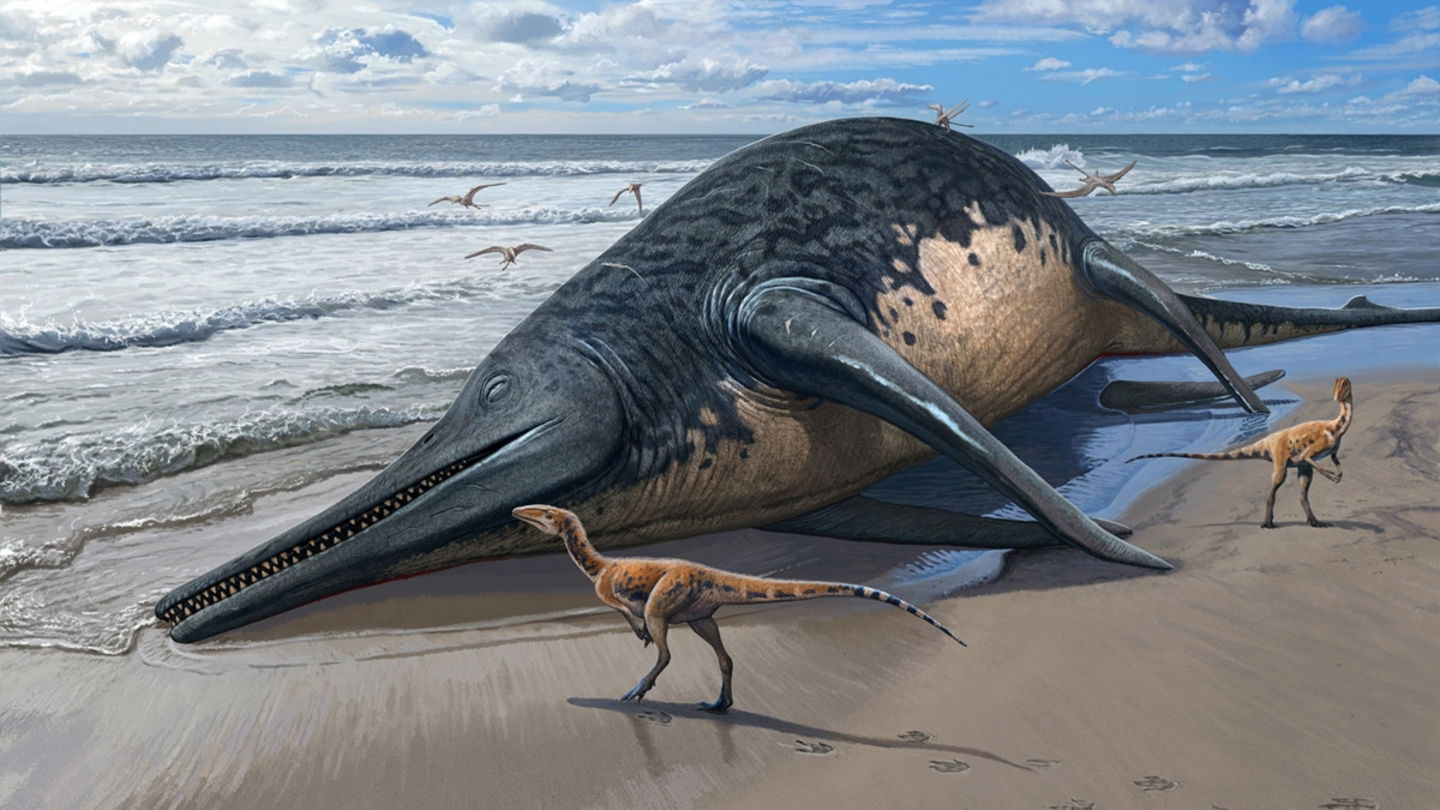 Representación del ichthyosaurus