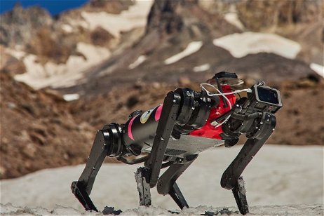 Los perros robots tendrán nuevas misiones cuando estén en la Luna: servirán para rescatar personas atrapadas