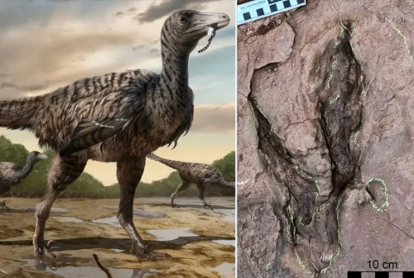 China fue una vez la tierra de los dinosaurios y entre ellos destacaba este depredador primo del velociraptor