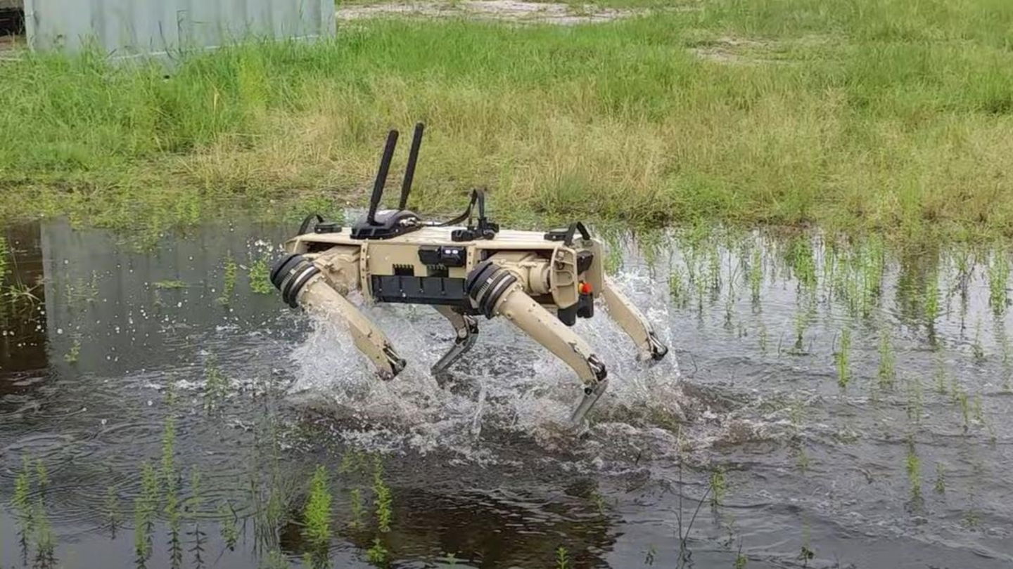 Los marines estadounidenses prueban perros robots impulsados por IA y ...