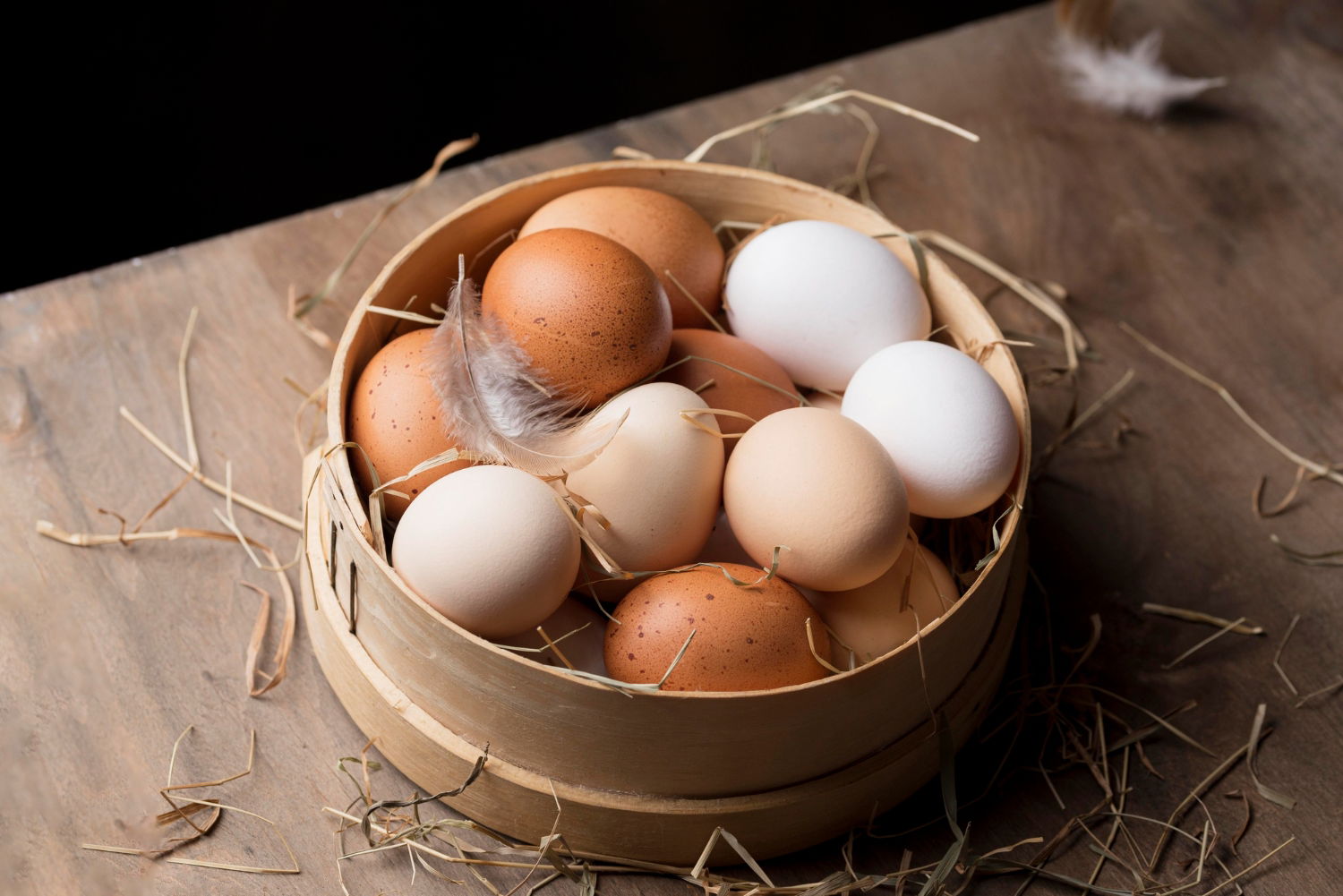 Qué fue primero el huevo o la gallina Explicación sencilla según la ciencia 4