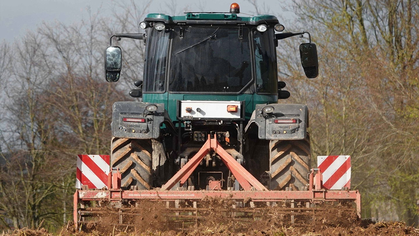 Seederal