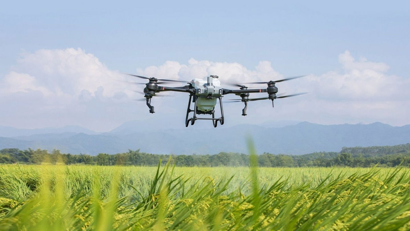 Dron encima de un cultivo