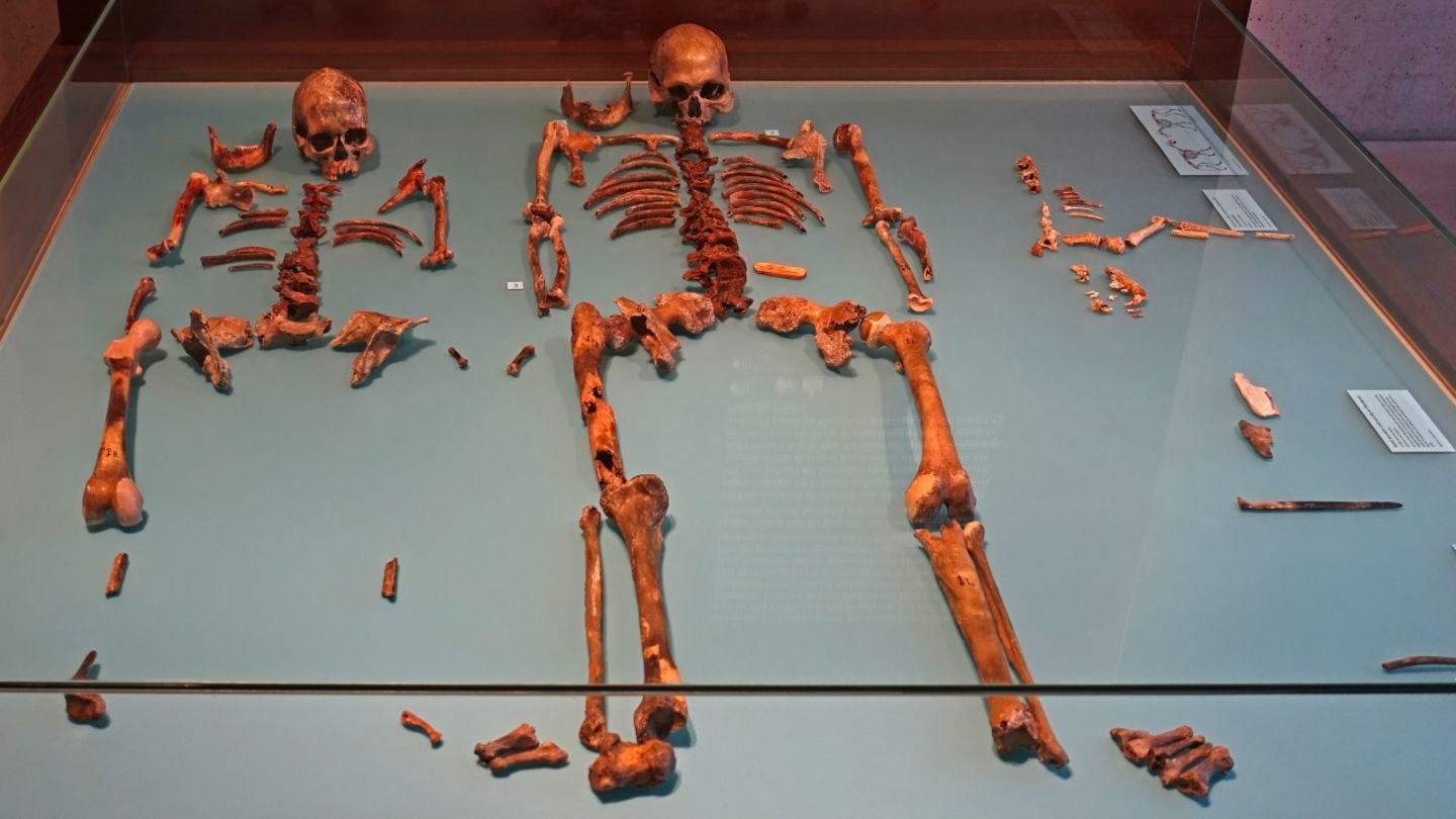 Imagen de los restos humanos y del pequeño perro encontrados en la cueva de Bon-Oberkassel