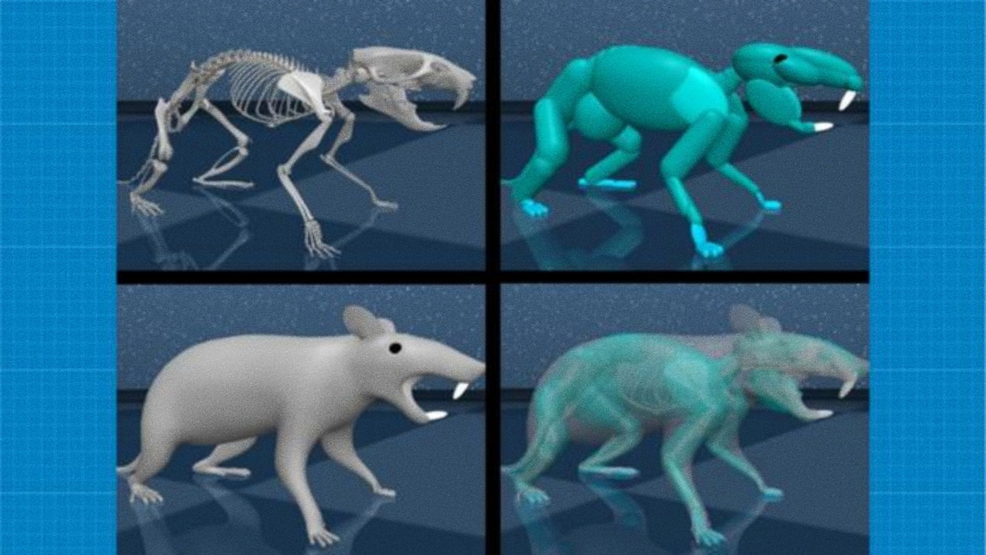Imagen del modelo de rata virtual creado por los investigadores del proyecto entre Harvard y Google