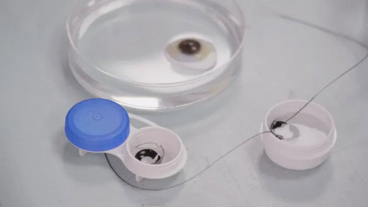 Imagen del proceso de carga actual de las baterías para lentillas