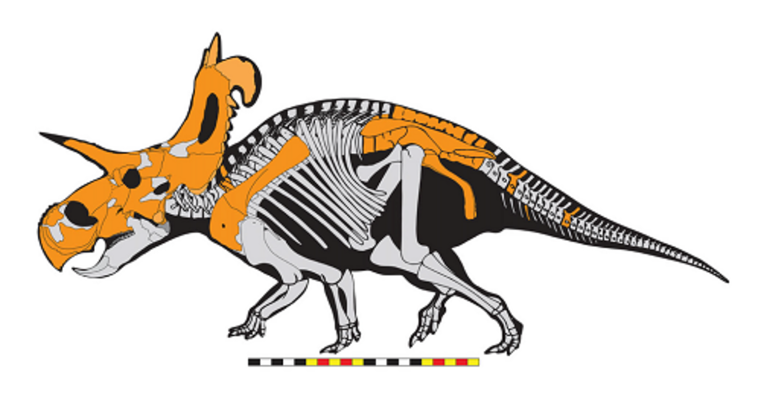 Lleva el nombre de uno de los villanos de Marvel y es un nuevo dinosaurio cornudo que acaba de descubrirse