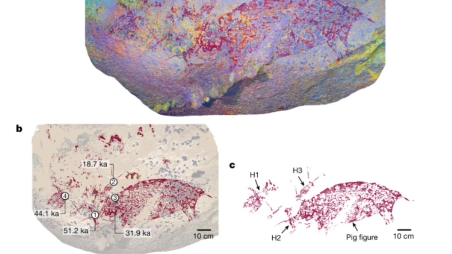 Diferentes análisis de las pinturas rupestres encontradas en Indonesia