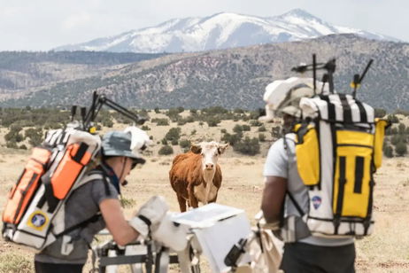 Una vaca se cuela en los ensayos de la misión Artemis III de la NASA