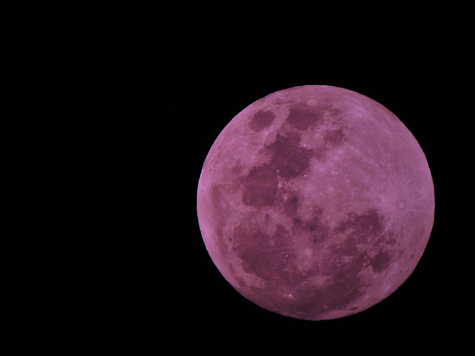 Por qué la luna es rosa a veces y cuándo se pone de este color