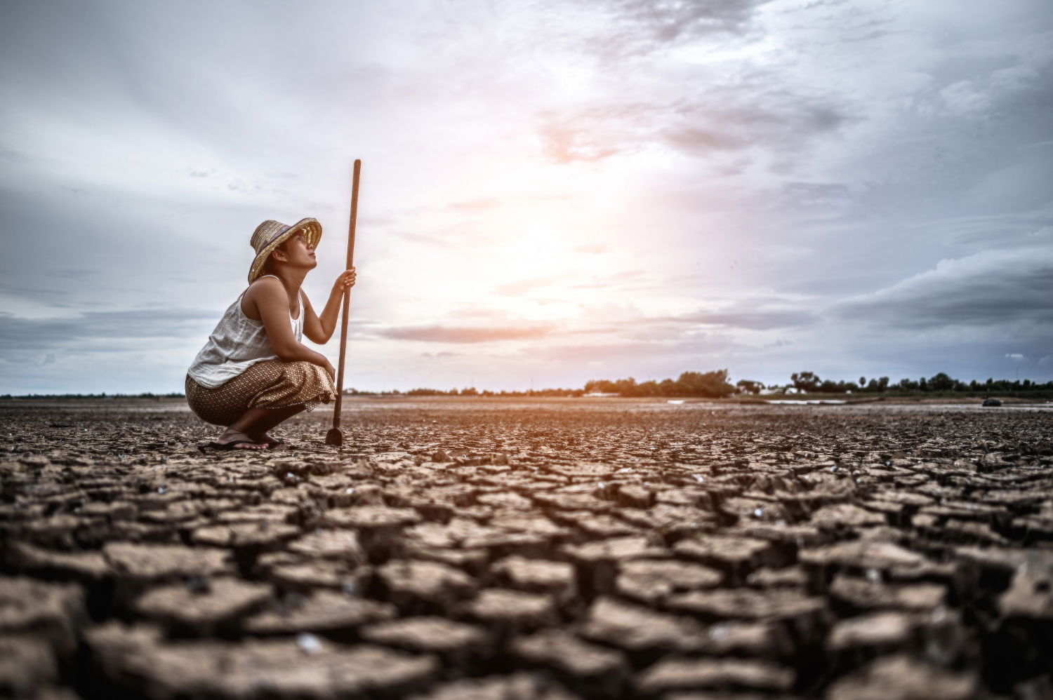 Qué pasaría si la temperatura global subiera 1, 2 y 3 grados 1