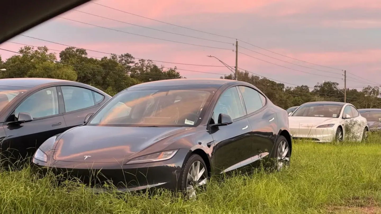 Muchos son los vehículos de Tesla que pasan por este campo repleto de Model 3 y Model Y