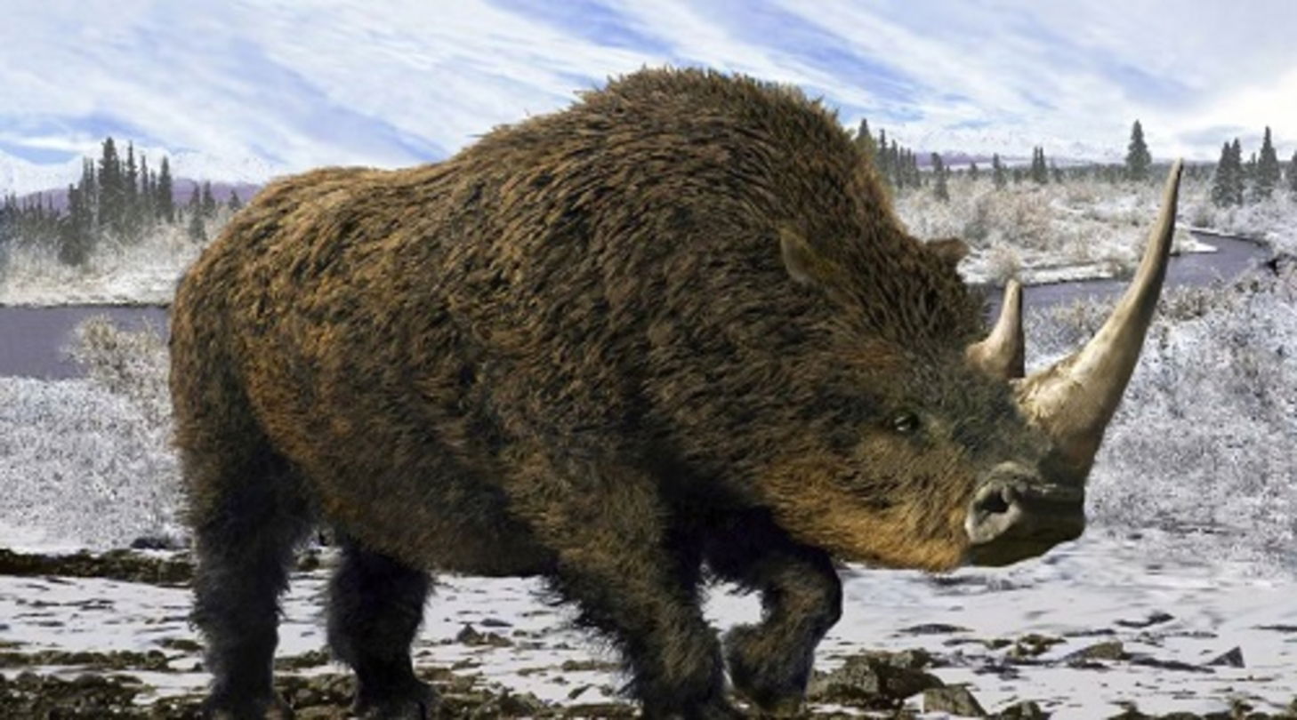 Científicos rusos desentierran el cuerpo intacto de una antigua bestia prehistórica: estaba oculta bajo el sólido hielo