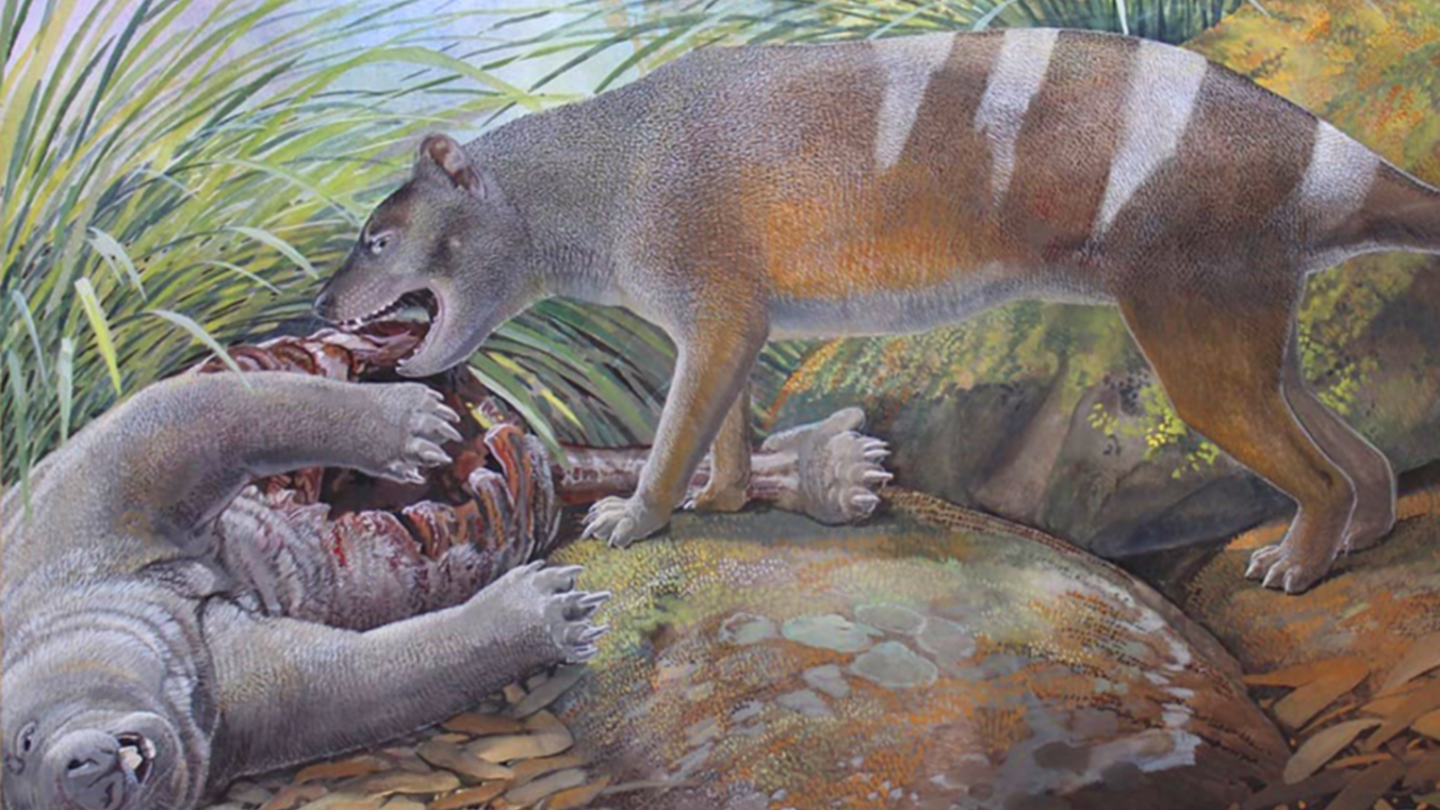 Ilustración que recrea al animal conocido como Badjcinus timfaulkneri