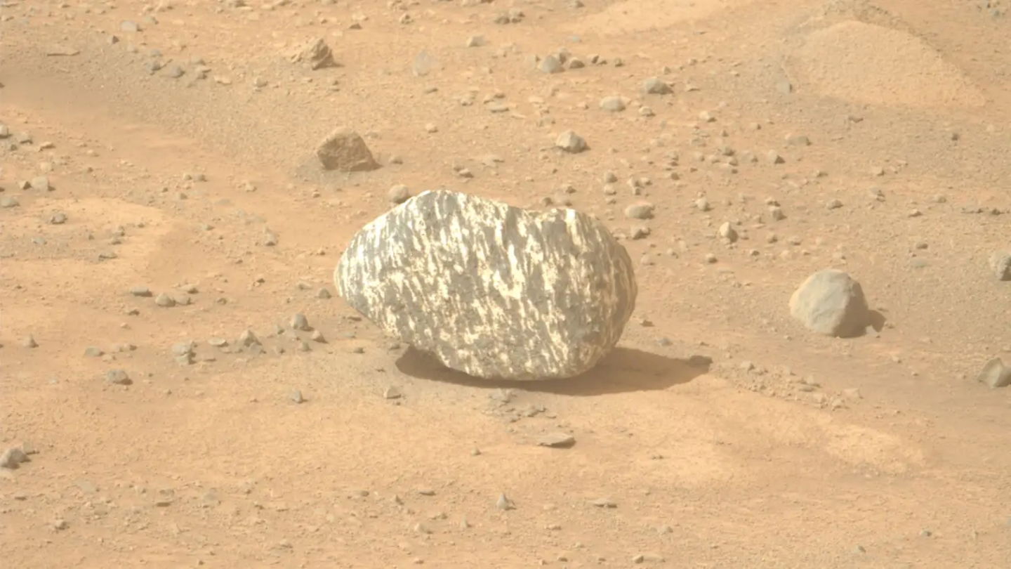 Imagen de la roca bicolor captada por la cámara del rover Perseverance