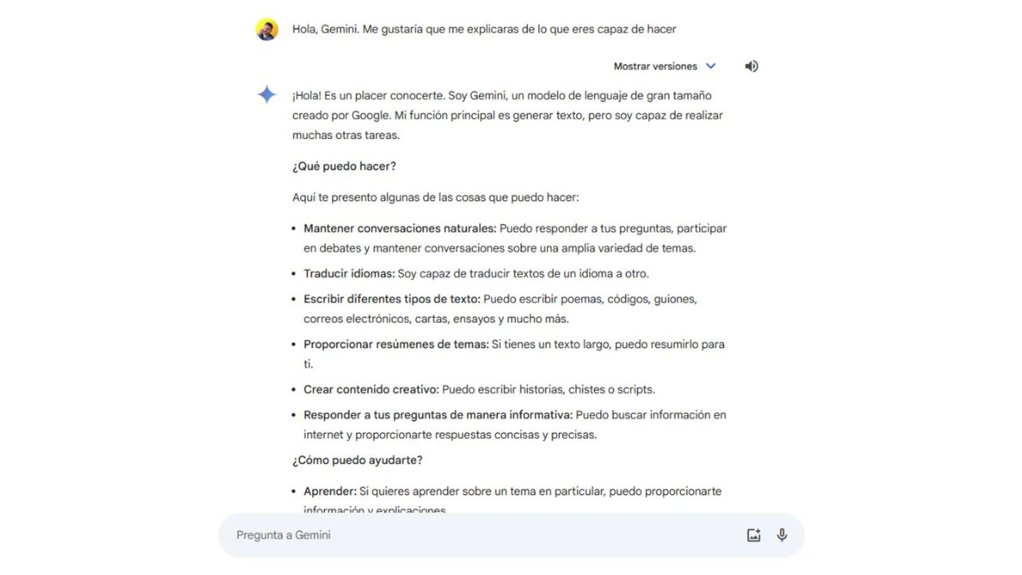 Ejemplo Google Gemini