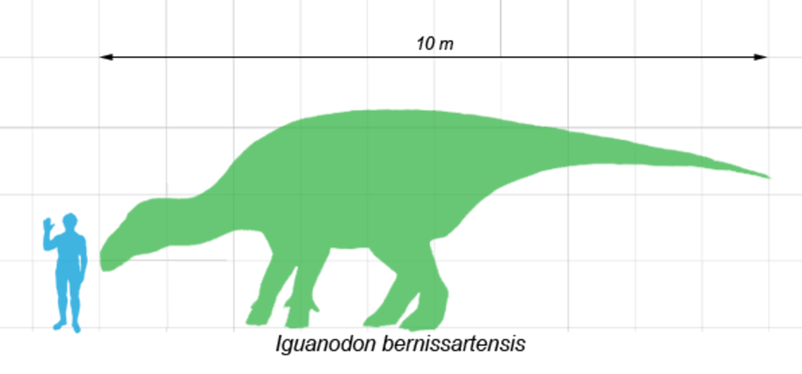Este fue el primer dinosaurio encontrado en España. No fue un tiranosaurio, pero es una especie icónica del Mesozoico