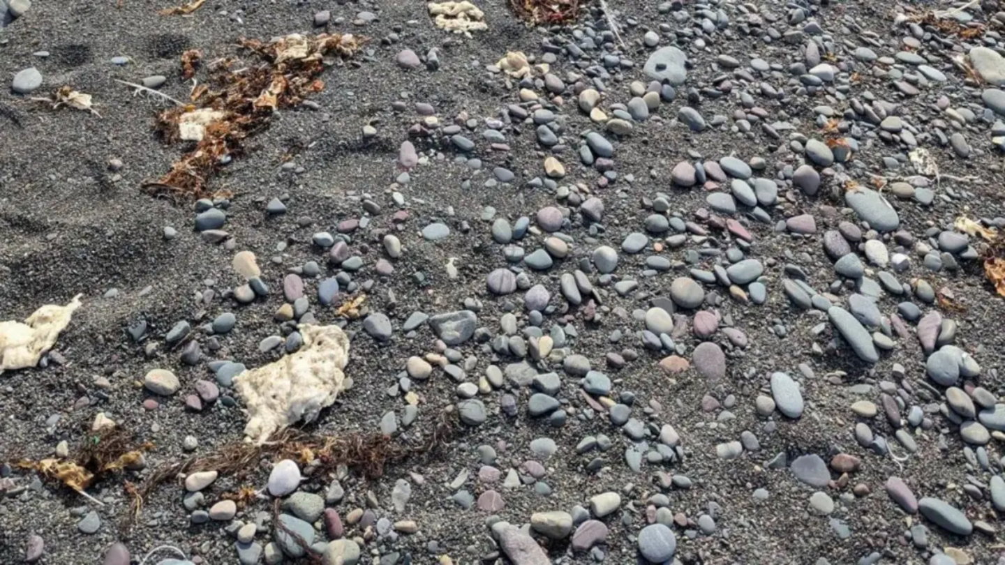 Imagen de algunas de las sustancias halladas en las playas de Terranova