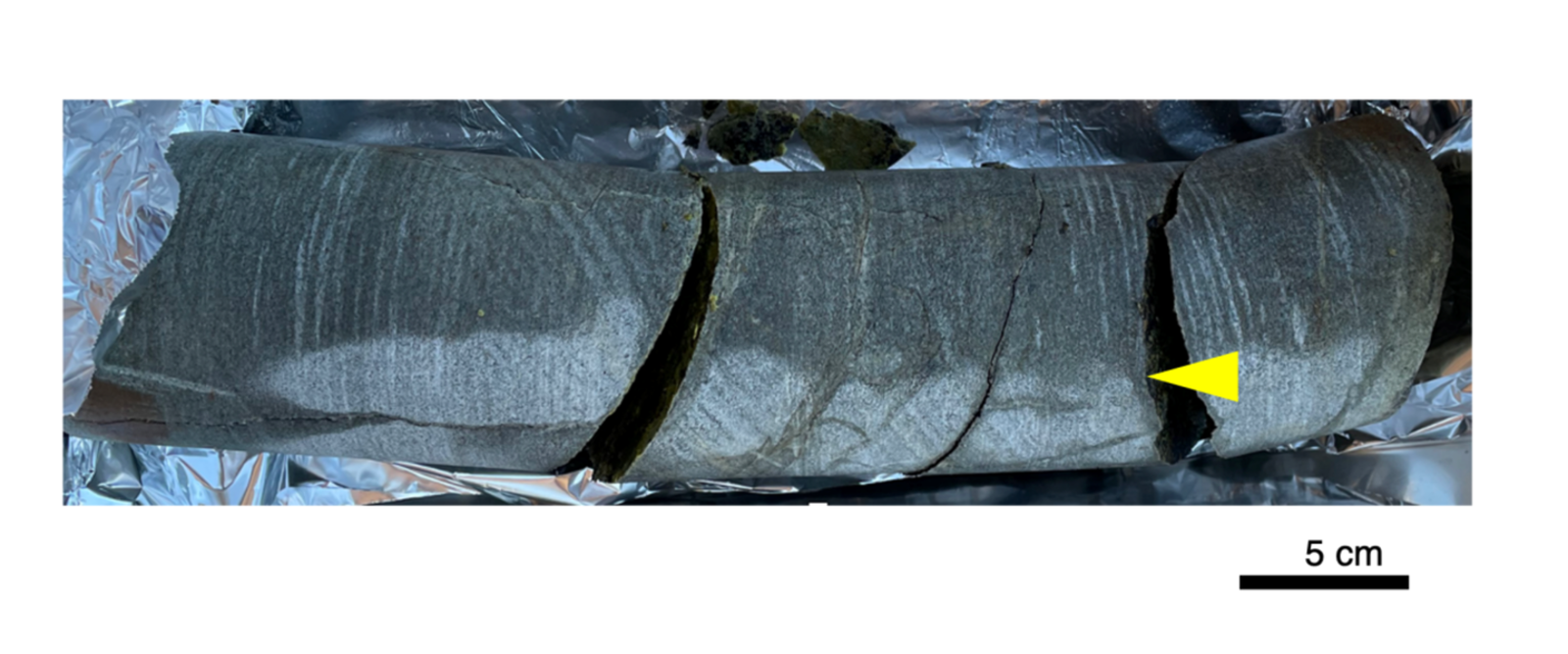 Imagen de la roca de muestra que fue extraída de Sudáfrica y llevada para su estudio en Japón