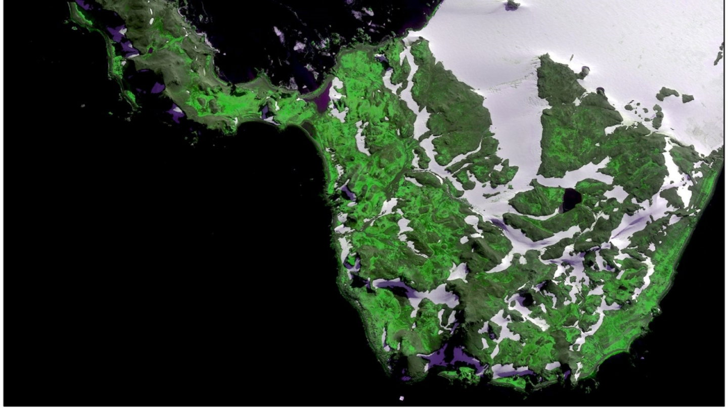 Imagen reciente de la península Antártica
