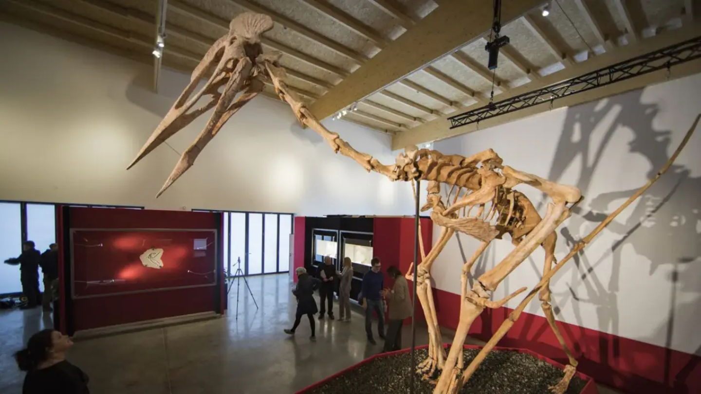 Recreación de Drácula en el Museo Altmühltal