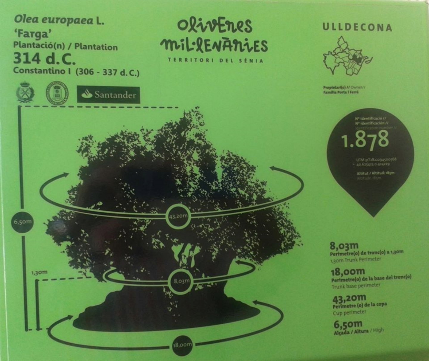 Señalización del árbol ubicado en la provincia de Tarragona