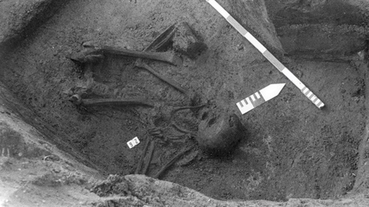 Creían que era un cuerpo enterrado en un antiguo cementerio romano, pero la realidad es peor. Han descubierto un puzle hecho con 8 personas