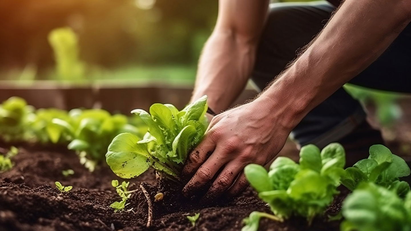 La mano de obra agraria cada vez es más escasa y vehículos como el Kubota KATR pueden dar soluciones multifuncionales